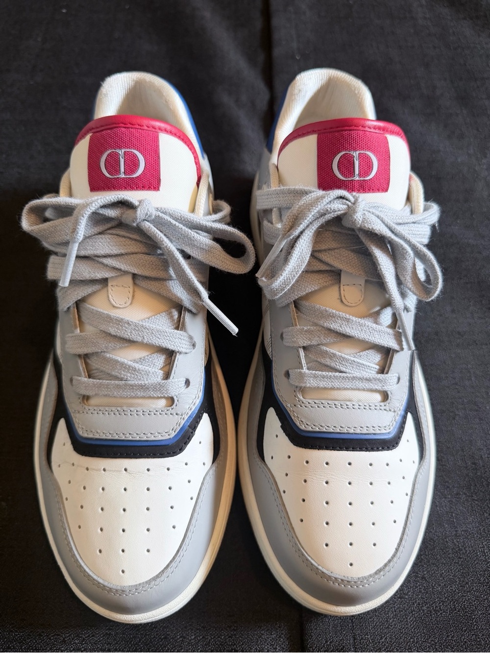 Dior B27 Low Top